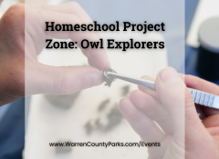 hands using forceps to dissect owl pellet